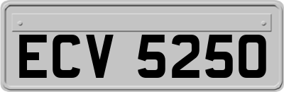 ECV5250