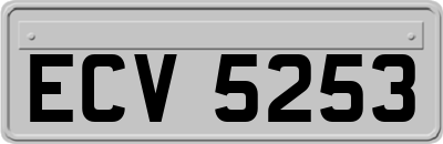 ECV5253