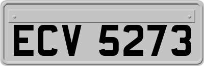 ECV5273