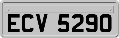 ECV5290