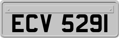 ECV5291