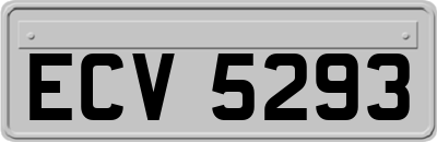 ECV5293