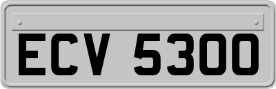 ECV5300
