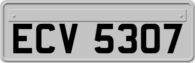 ECV5307