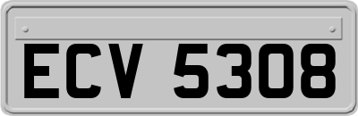 ECV5308