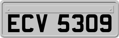 ECV5309