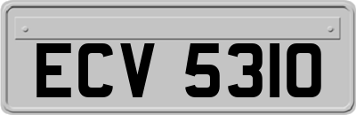 ECV5310