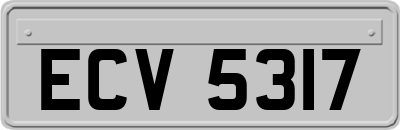 ECV5317