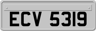 ECV5319