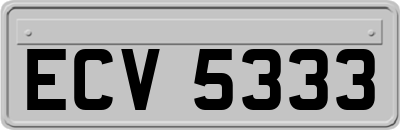 ECV5333