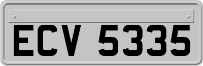 ECV5335
