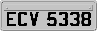 ECV5338