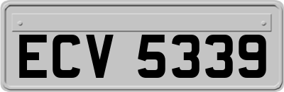 ECV5339