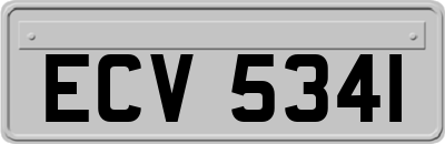 ECV5341