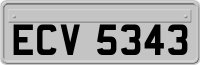 ECV5343