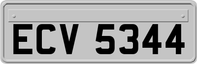 ECV5344