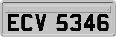 ECV5346
