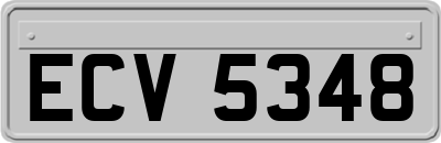 ECV5348