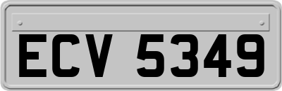 ECV5349