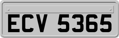 ECV5365