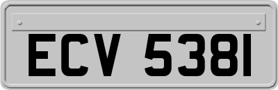 ECV5381