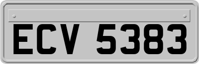ECV5383