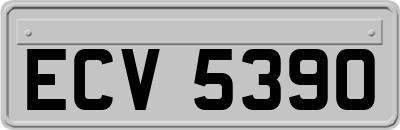 ECV5390