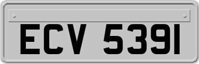 ECV5391