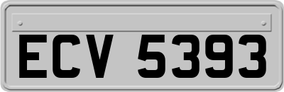 ECV5393