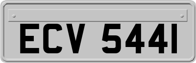 ECV5441