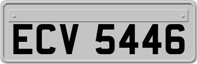 ECV5446