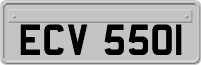 ECV5501