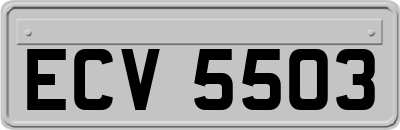 ECV5503