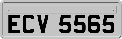 ECV5565