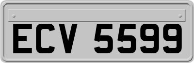 ECV5599