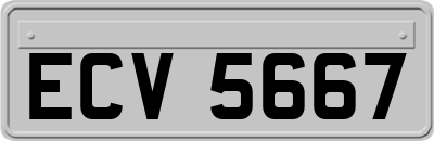 ECV5667