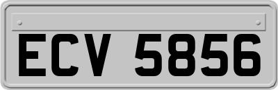 ECV5856