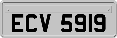 ECV5919