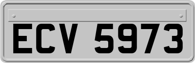 ECV5973
