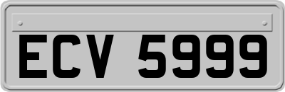 ECV5999