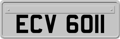 ECV6011