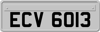 ECV6013