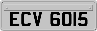 ECV6015