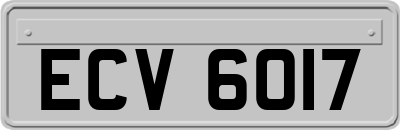 ECV6017