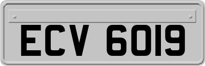 ECV6019