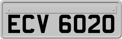 ECV6020