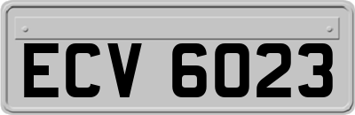 ECV6023