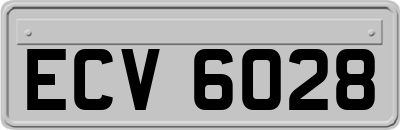 ECV6028