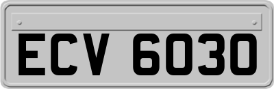 ECV6030
