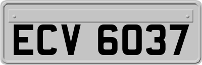 ECV6037